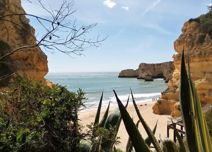 Daire Traditional In Albufeira