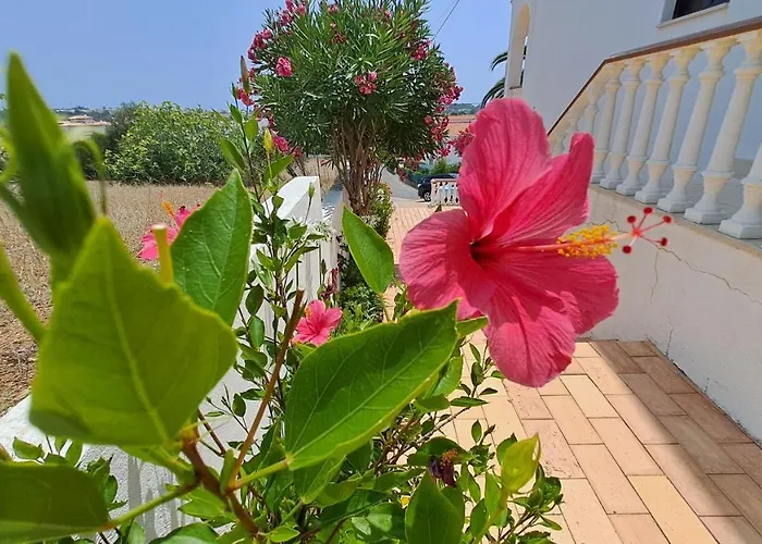 Apartment Traditional In Albufeira