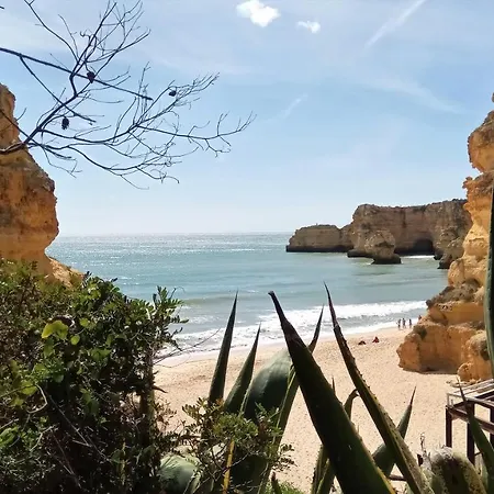 Apartment Traditional In Albufeira