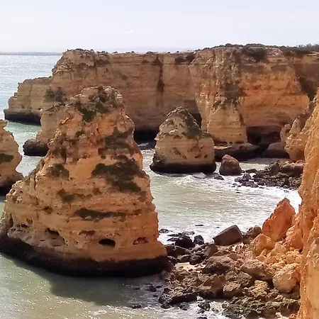 Traditional In Albufeira