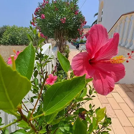 Apartment Traditional In Albufeira